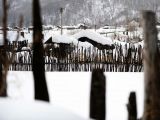 雪村美景醉游人