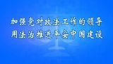 加强党对政法工作的领导 用法治推进平安中国建设