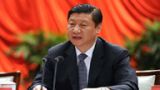一、对什么：总书记系列讲话所针对的问题