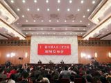 十二届全国人大三次会议举行新闻发布会 