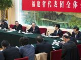 王岐山参加福建代表团审议