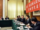 俞正声参加青海代表团审议