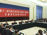 张德江参加甘肃代表团审议