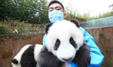 《中国梦——365个故事》之奶爸乐