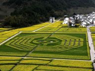 安徽黄山现巨型“太极八卦图”