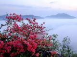 山花烂漫屋脊山