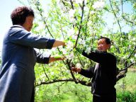 拓荒育林三十年 夫妇打造“桃花源”