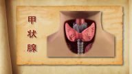 甲狀腺不拘小