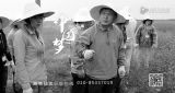 绿戈壁 | 中国梦365个故事 