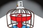 五、强化法治思维，建设法治政府