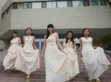 山西大学生拍摄“创意毕业写真”