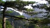 二、权力使用的种种误区分析