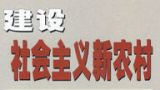 山沟沟里的那抹红黄绿——记北京新城子镇村村组团发展之路