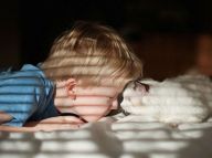 母亲记录孩子和宠物猫的温情时刻