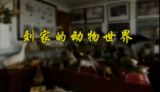 刘家的动物世界