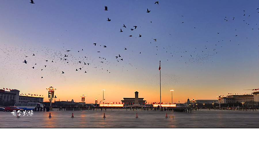 独家评论 丨“严”与“实”要两翼齐飞