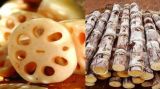 《养生堂》：通调人体的“黄金水道”（2）