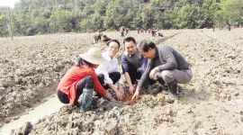 独家评论 丨 朱有志的“真”价值