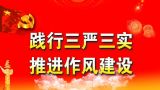 北京市人大党组开展“三严三实”专题教育交流研讨