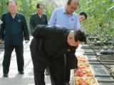 金正恩视察平壤蔬菜科学研究所