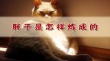 《养生堂》：自我战胜糖尿病（3）
