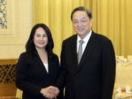 俞正声会见台湾少数民族参访团
