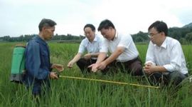 独家评论 丨 领导干部务必做群众的贴心人 