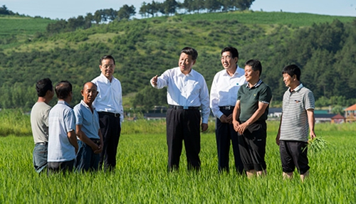 　2015年7月16日至18日，中共中央总书记、国家主席、中央军委主席习近平在吉林调研。这是7月16日，习近平在延边州和龙市东城镇光东村稻田同村民和农技人员交流。