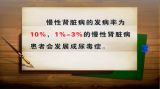 《养生堂》：补肾过夏天