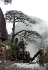 让“能上能下”成为常态