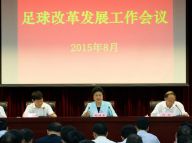 刘延东出席足球改革发展工作会议