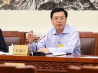 张德江参加人大常委会分组审议