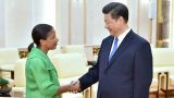 习近平会见美国总统国家安全事务助理赖斯