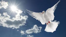 独家评论 丨 抗日战争胜利的伟大精神告诉我们未来