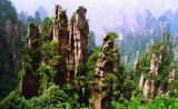 《走进普陀山》佛指名山
