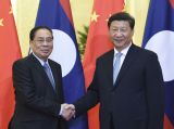 习近平会见来华出席纪念活动的多国领导人
