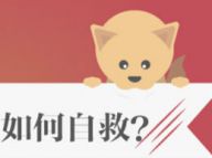 被动物咬伤后如何快速自救