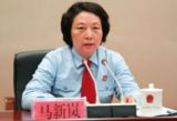 马新岚：严格落实主体责任全面推进人民法院党的建设