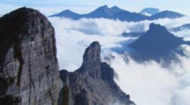 独家评论 丨 “能上能下”不移忠诚之心 