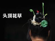 为何偏爱头顶上的“花草”