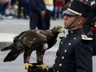 墨西哥独立日阅兵现金雕骑兵