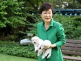 朴槿惠发布与爱犬合影