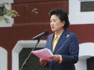 刘延东出席故宫博物院90周年庆典