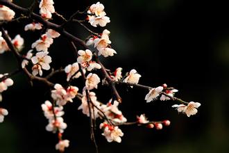 以“三立”话修身从政 