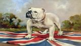 英国文化知多少：英国的符号