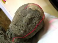 时隔1900年的“体检”