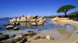 独家评论 丨 领导干部要修好三门“功课”的“学分” 