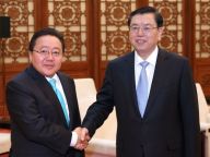 张德江会见蒙古总统额勒贝格道尔吉