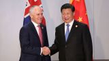 习近平会见澳大利亚总理特恩布尔