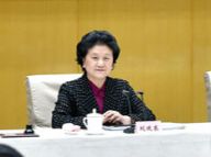 刘延东出席全国教育信息化工作会议